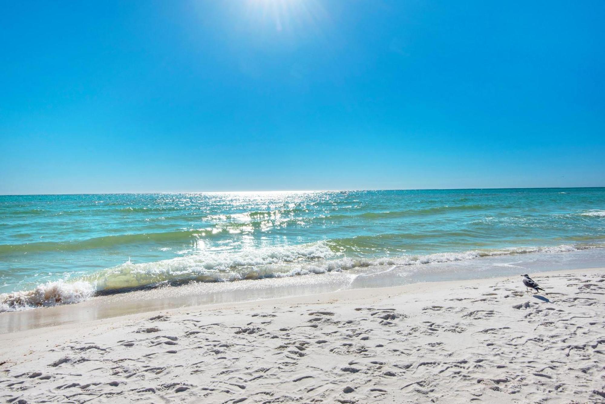 Shores Of Panama 1816 Panama City Beach Zewnętrze zdjęcie